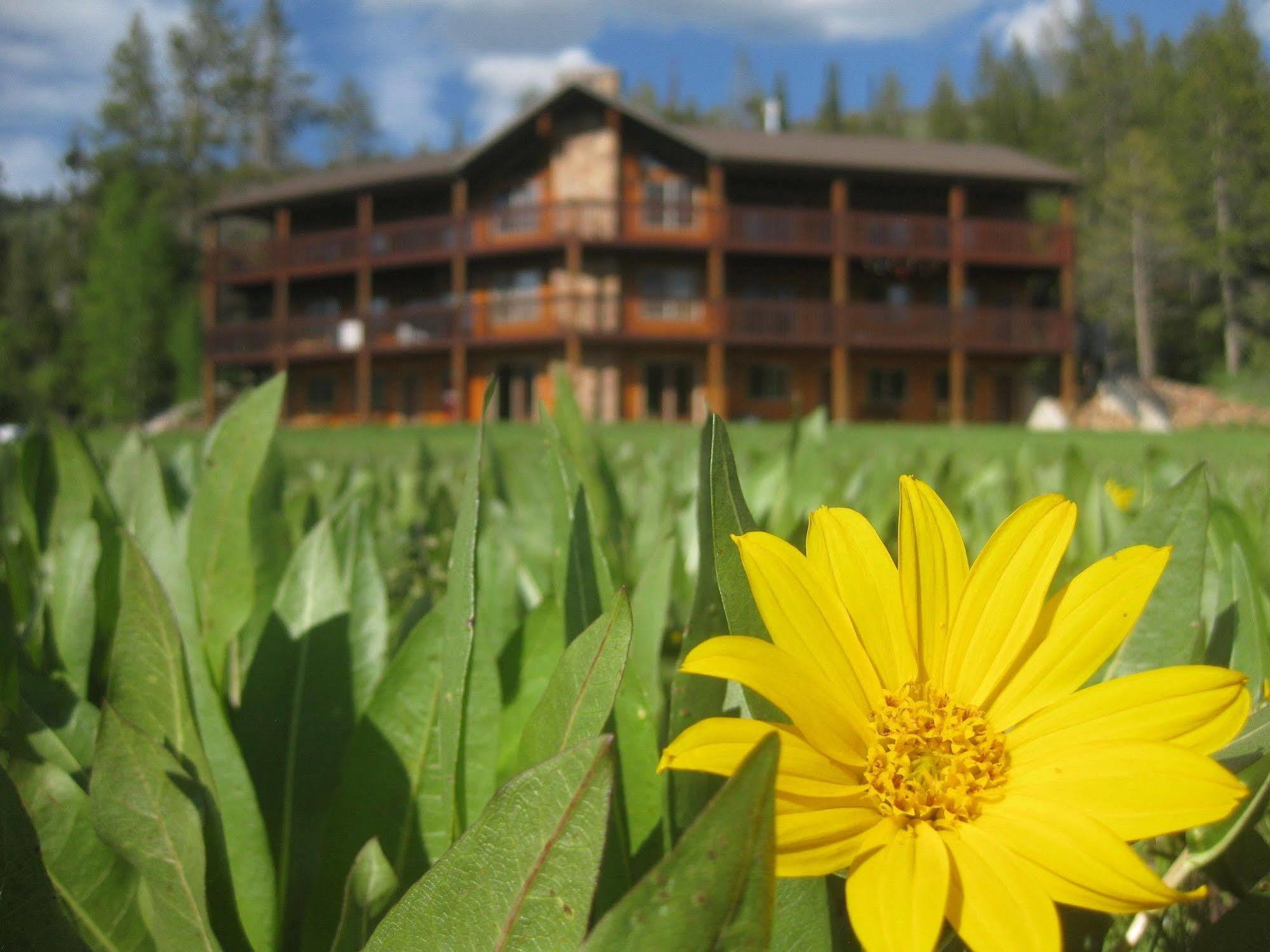 Beaver Creek Lodge Logan Eksteriør billede